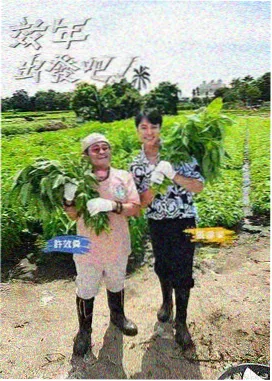深夜书店 文化综艺在线观看